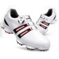 thumbnail - 2