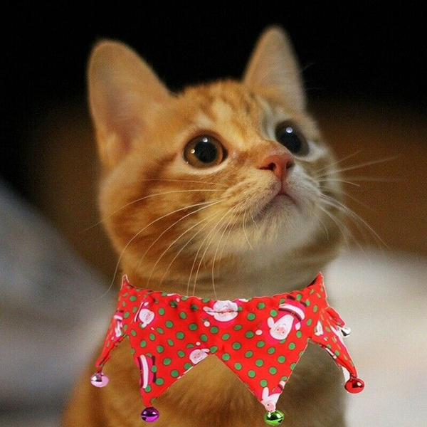 the range cat collars