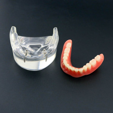 dentaltool, dentalimplantmodel, dentalequipment, oralteaching