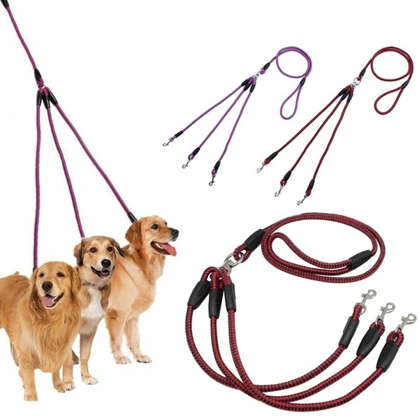 three way dog leash