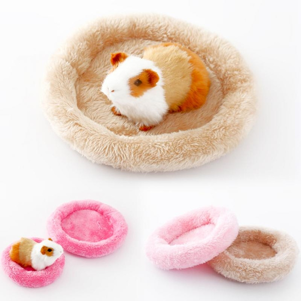 guinea pig warm bed