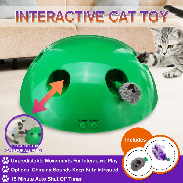 interactive motion cat toy