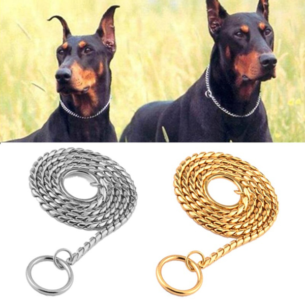 Snake chain dog store collar