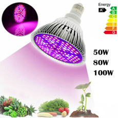 Plants, LED Headlights, led, lights