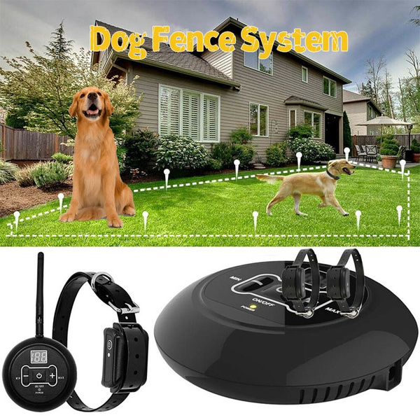 dog collar transmitter