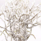 thumbnail - 8