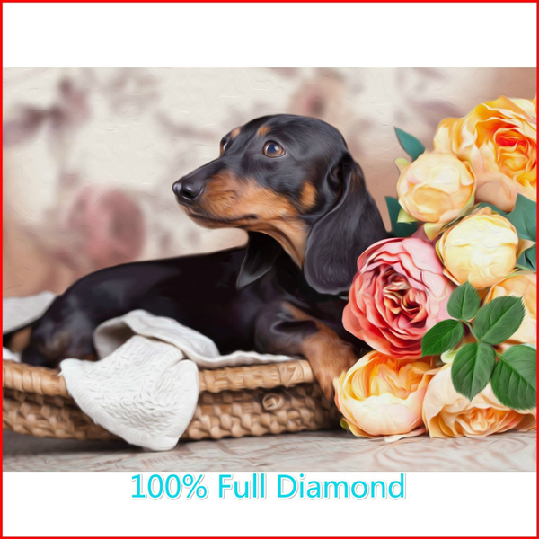 Round/ Diamond Cross Stitch,5d Diamond Painting,action 3d Diamond Painting  Kits,wish,art,dog Animal Painting