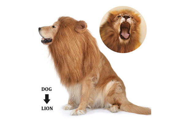 Dog Lion Mane,Pet Dog Lion Mane Costume,Adjustable Lion Mane for Dog Funny  Halloween Christmas Lion Costume with Ear Dog Wig for Medium or Large Sized  Dogs | Wish