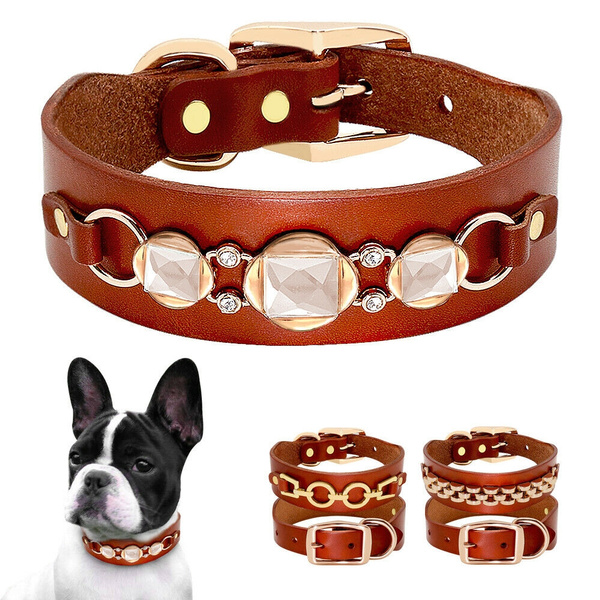 Posh hotsell dog accessories