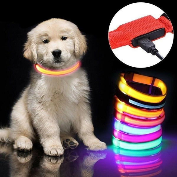 LED Light Up Dog Collar Nylon Pet Night Safety Bright Flashing S-XL 