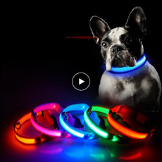 ledflashingdog, Dog Collar, petaccessorie, Pets