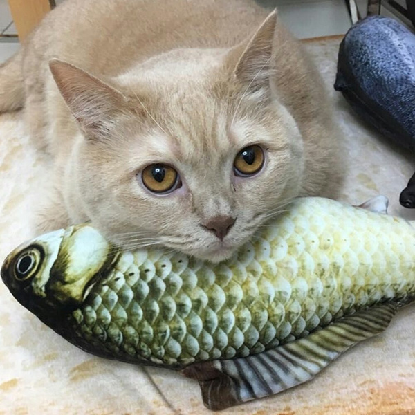 Fake fish for store cats