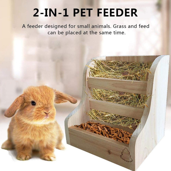 Hay dispenser hot sale for rabbits