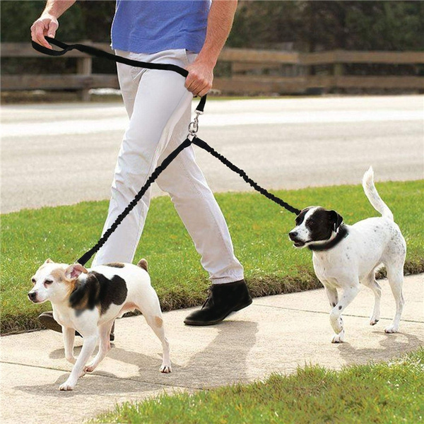 Dog leash coupler clearance swivel