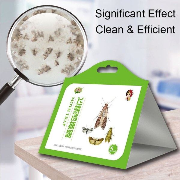 5 pcs/box Cloth Pantry Food Moth Trap Pheromone Attractant Moth