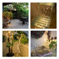 thumbnail - 6