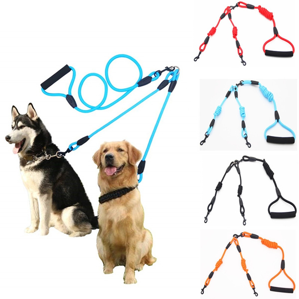 double dog leash swivel