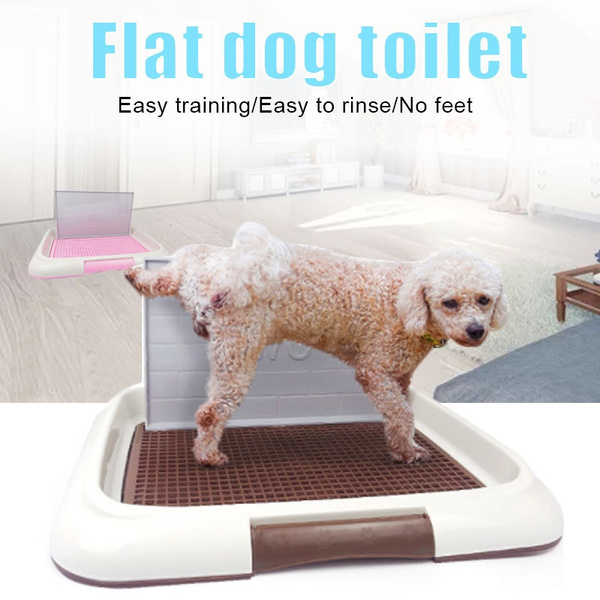 dog toilets