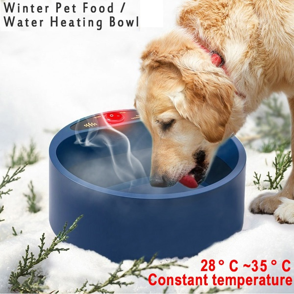 Outdoor dog best sale water bowl