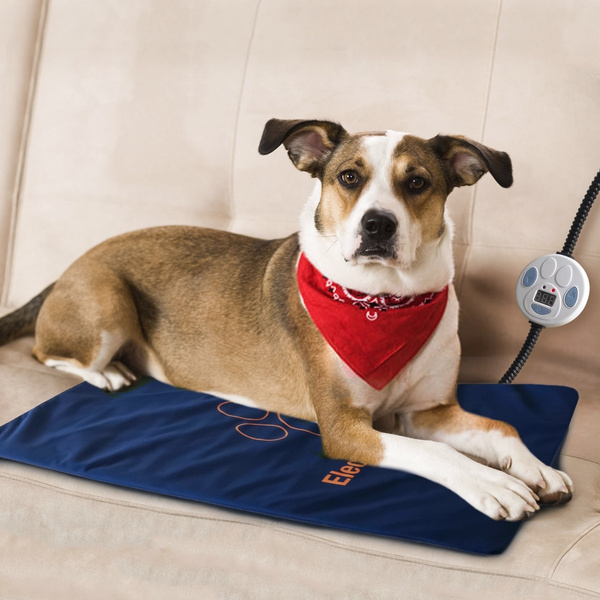 Are Electric Heated Dog Beds Safe