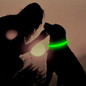 thumbnail - 19