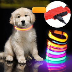 Bright, ledflashingdog, Dog Collar, petaccessorie