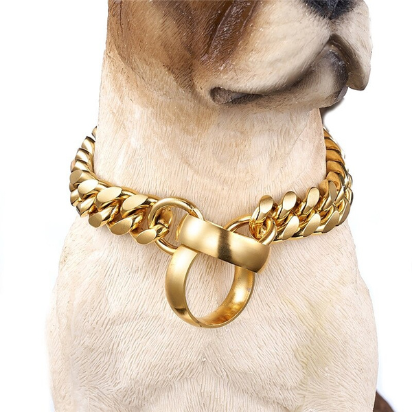 dog chain necklace collar