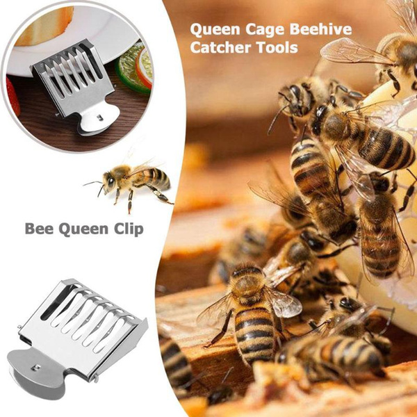 Equipment Bee Catcher Queen Bee Cage Beekeeping Tool Queen Marker Cage 