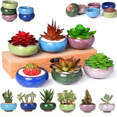 Plants, succulentpotsanimal, Pot, Indoor