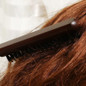thumbnail - 5