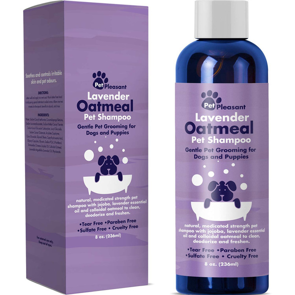 colloidal oatmeal dogs