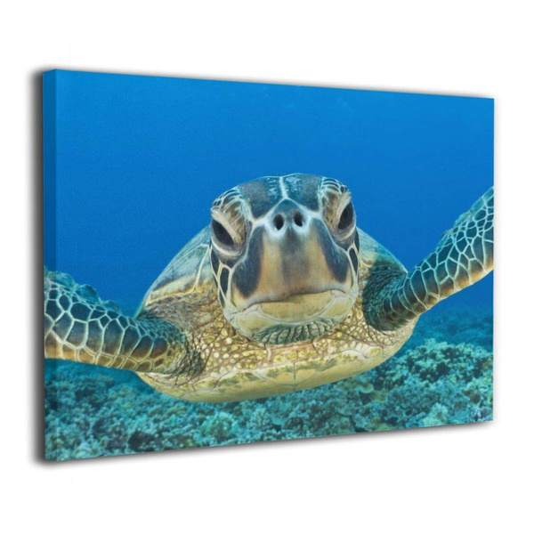 Sea Turtle Wall Art Decor Poster Modern Stretched and Framed Artwork ...