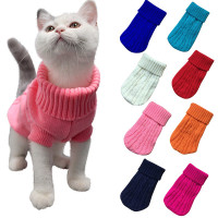 jumper cat