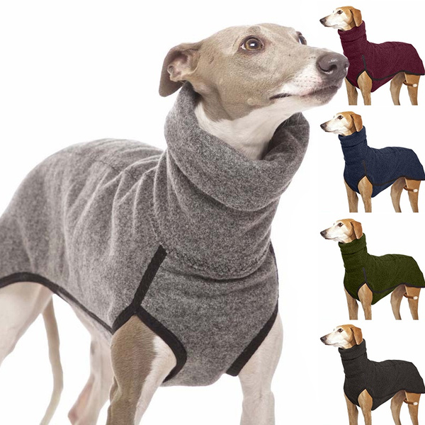 dog warmer clothes