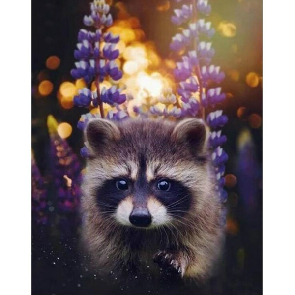 Best Deal for 5D Diamond Painting Raccoon,Diamond Painting Kits