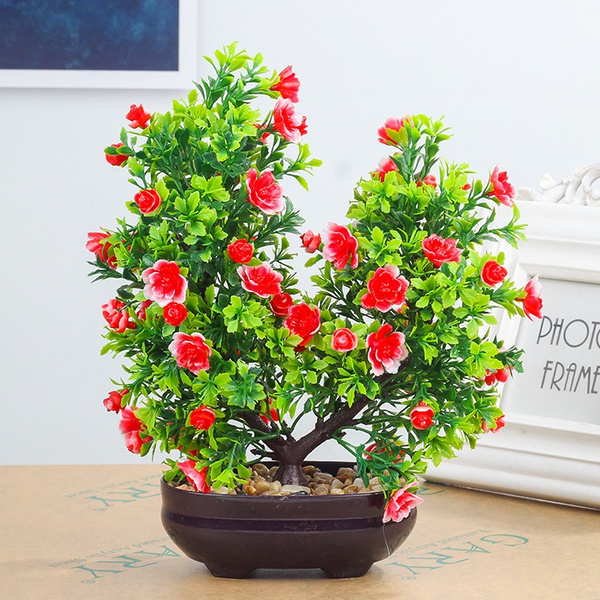 Plantas de interior europa