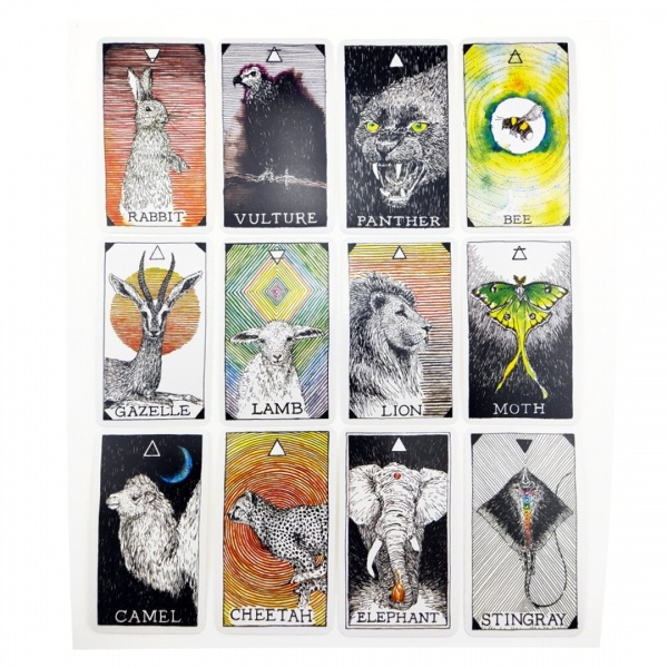 53pcs New Animal Spirit Tarot Deck Oracle Cards Tarot Playing Cards  103mm*60mm | Wish