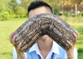 thumbnail - 1