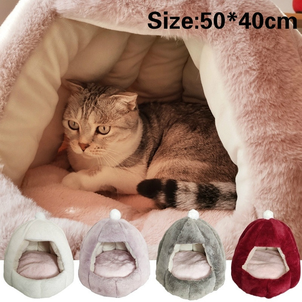 wish cat bed