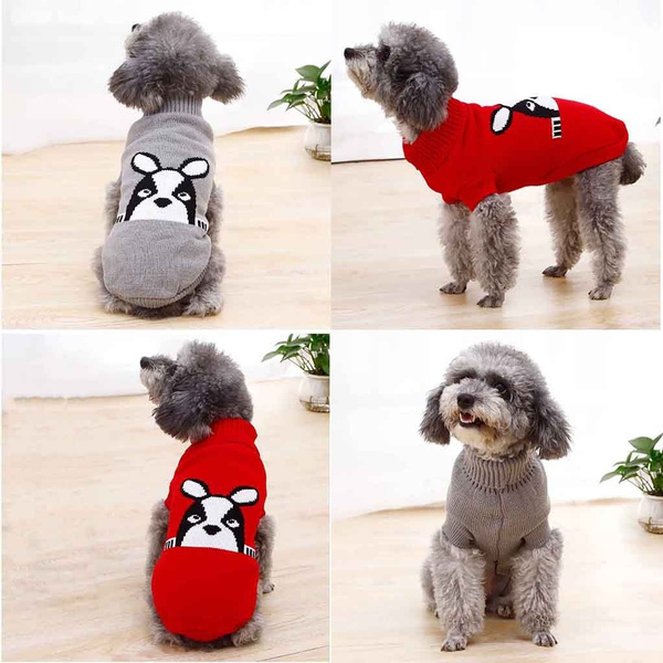 dog knitwear