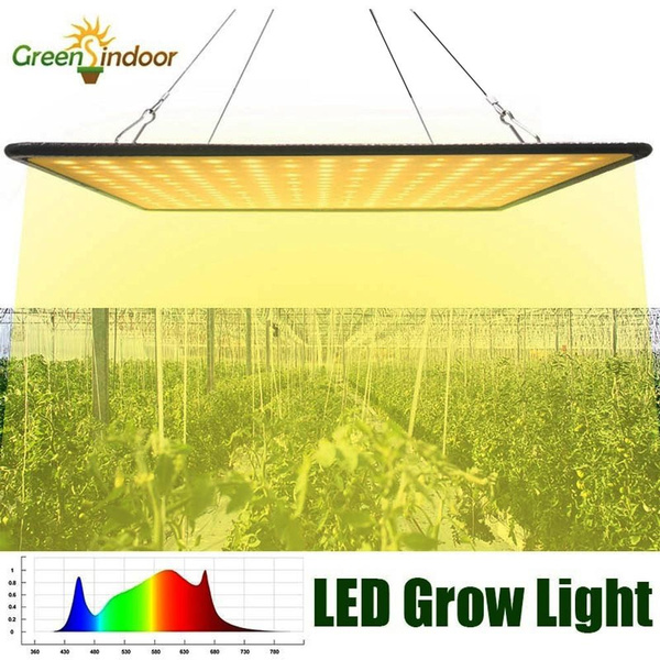 wish led grow lights