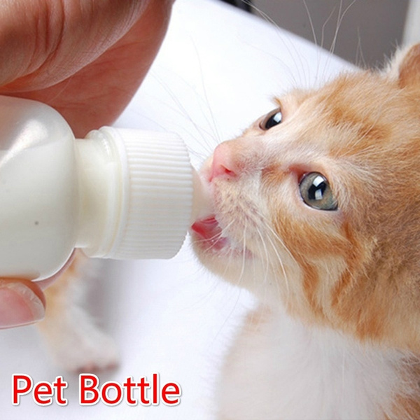 puppy feeding bottles