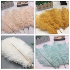 Beautiful, party, fetaher, naturalostrichfeather