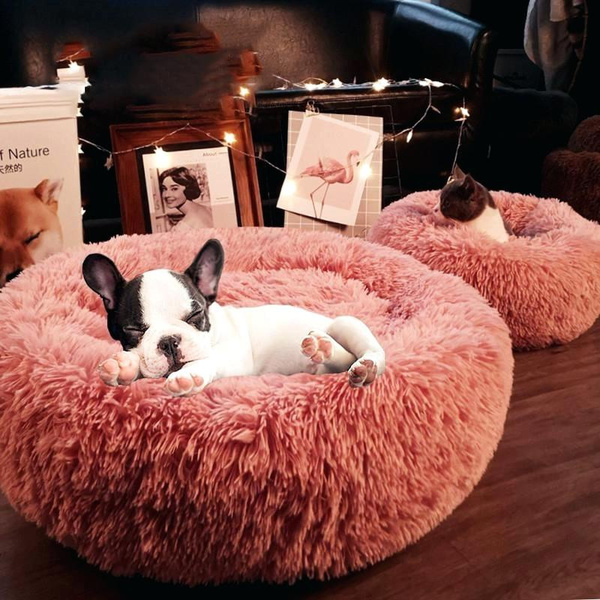 comfy pet donut bed