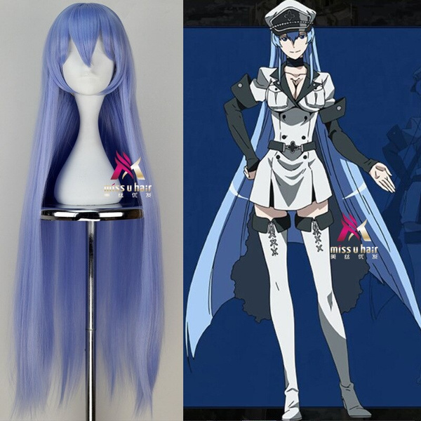 Akame Ga KILL Esdeath Long Straight Cosplay Wigs High Quality