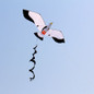 thumbnail - 3