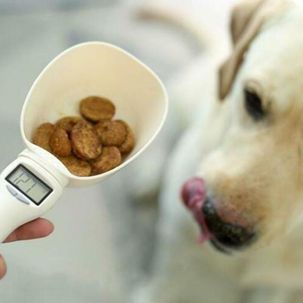 Dog Cat Food Scooper Pet Food Measuring Spoon Cat Measuring Cup