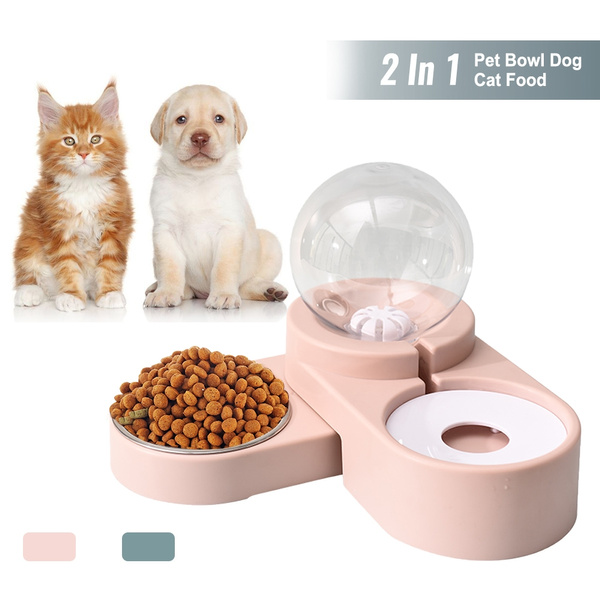 2 in outlet 1 dog bowl