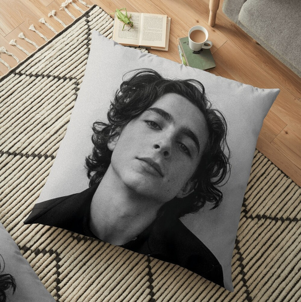 Gift Timothee Chalamet Cushion Pillow Cover Case