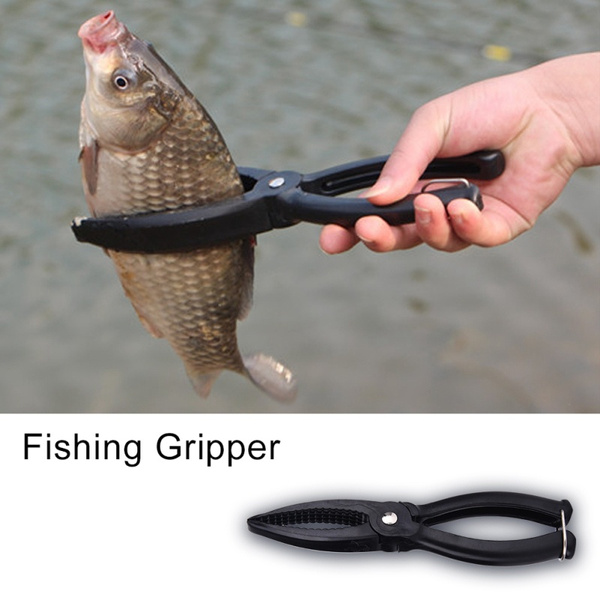 fish clamp holder